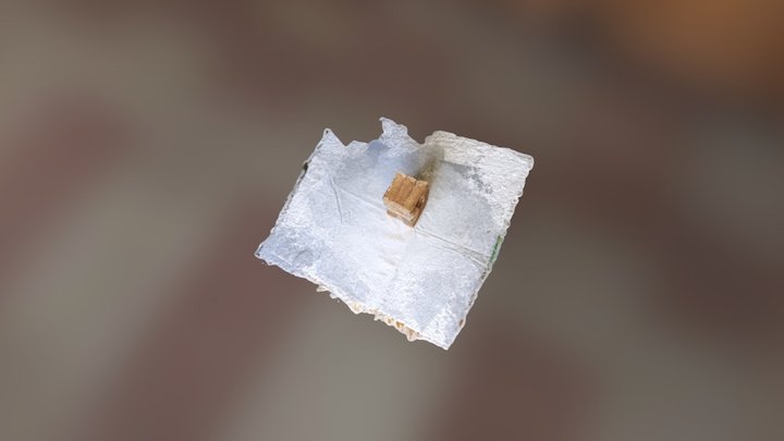 Newone 3D Model