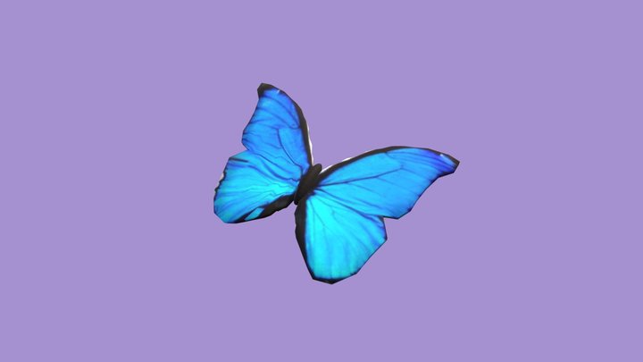 Blu Butterfly Fbx Scene Master Collection 3D Model