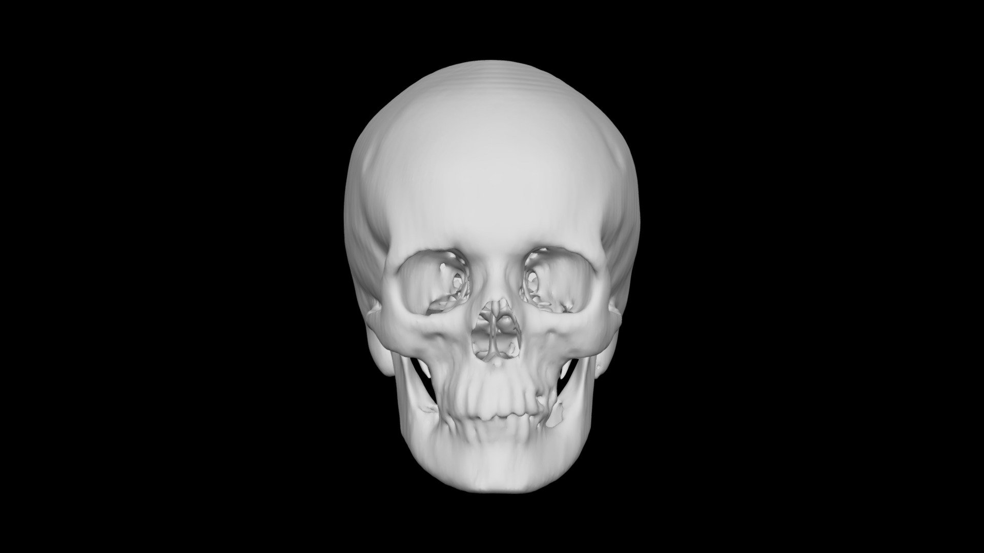 Skull Female no age