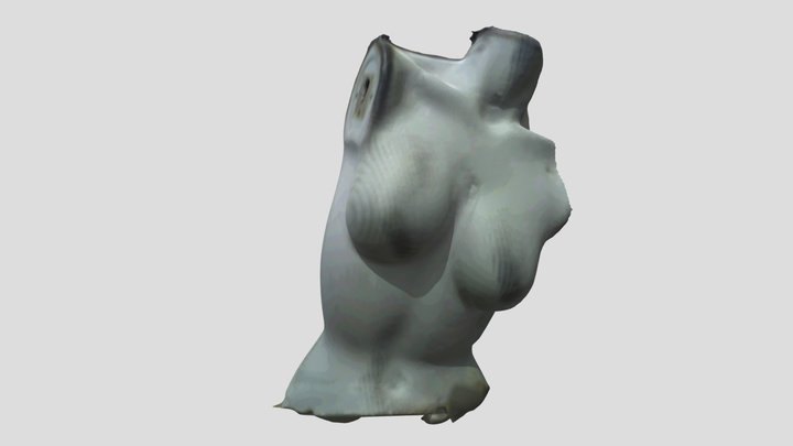 Woman - 3D scanning 3D Model