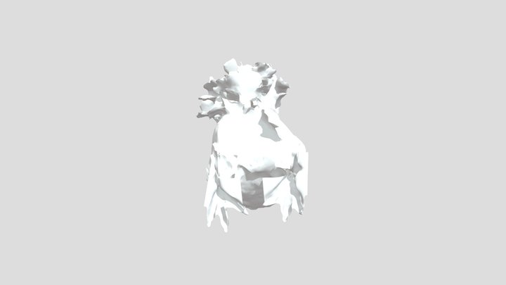 Stuffed hen (fake) 3D Model