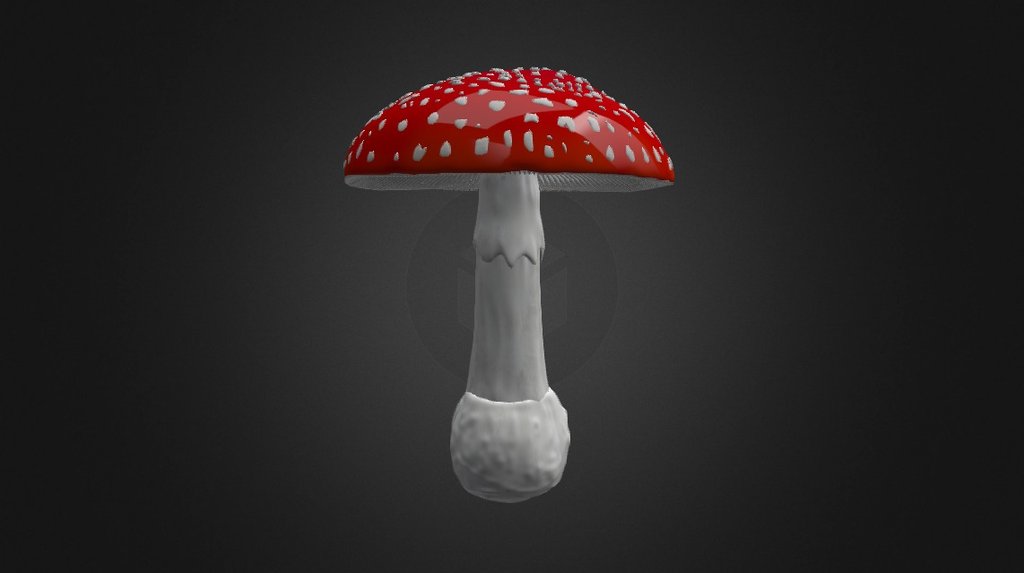 AMANITA MUSCARIA