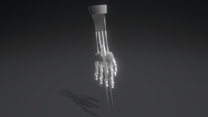 arm 3D Model