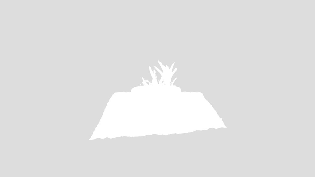 Tree Stump With Plant