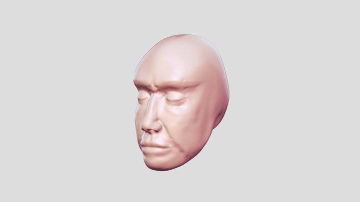Face anatomy practice no. 2 3D Model