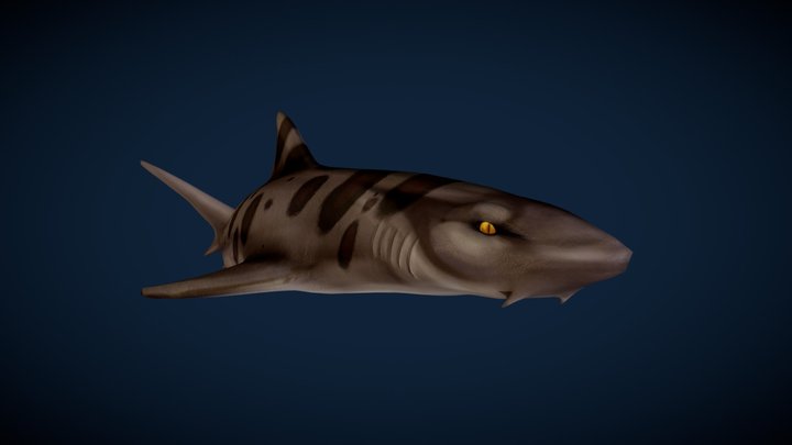 UNCOVER SHARK 3Dモデル shark - A 3D model collection by ames5529 - Sketchfab