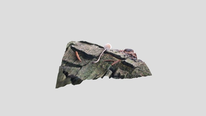 Pinkedge Bonnet – Modello 3D gratuito STL