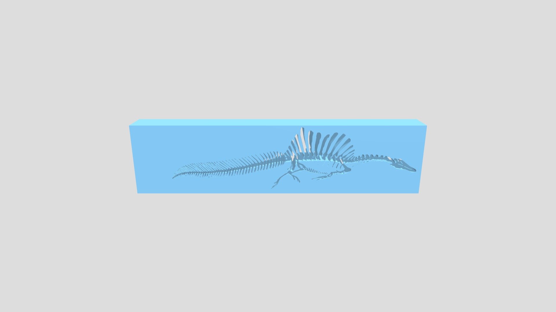 Spinosaurus Swimming Skeleton