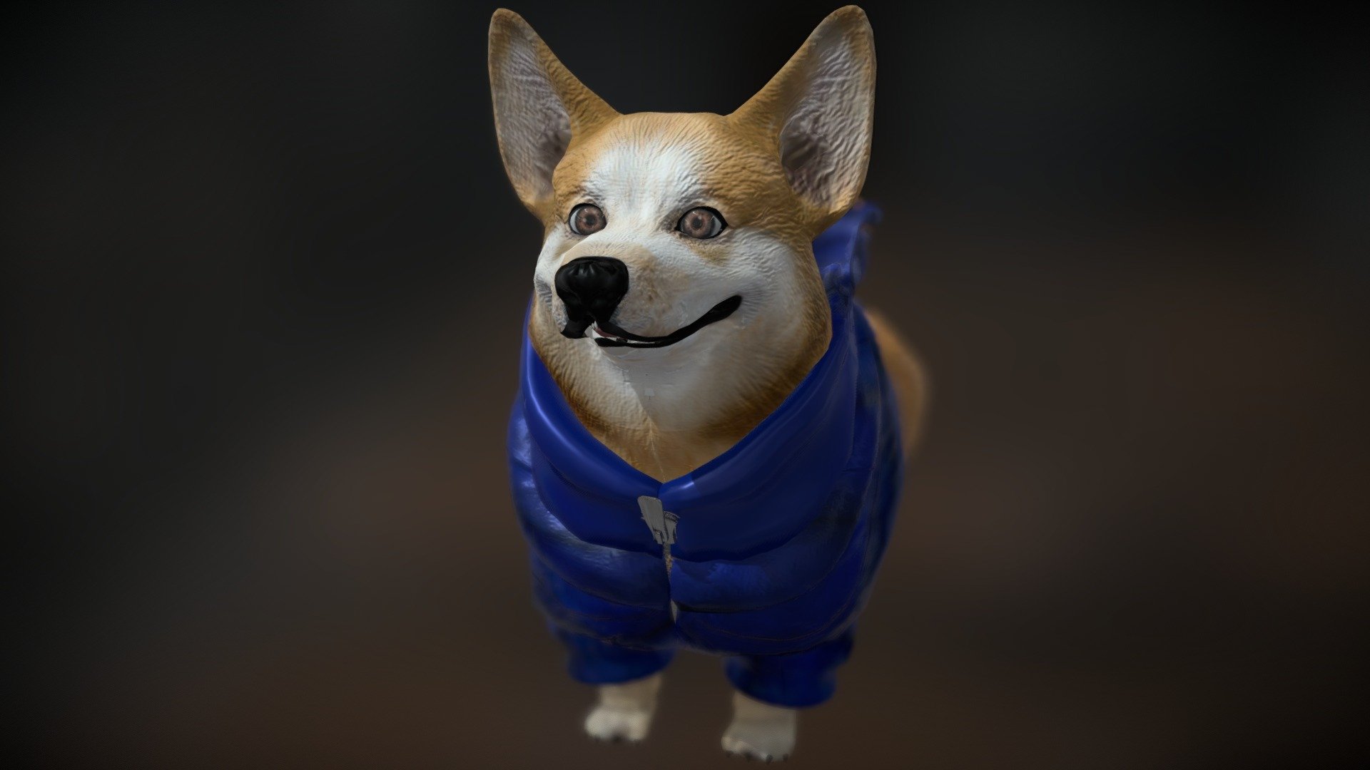 with puffy jacket Download Free 3D model by tsolharutyunyan
