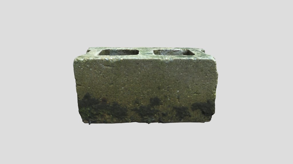 Old Mossy Cinder Block