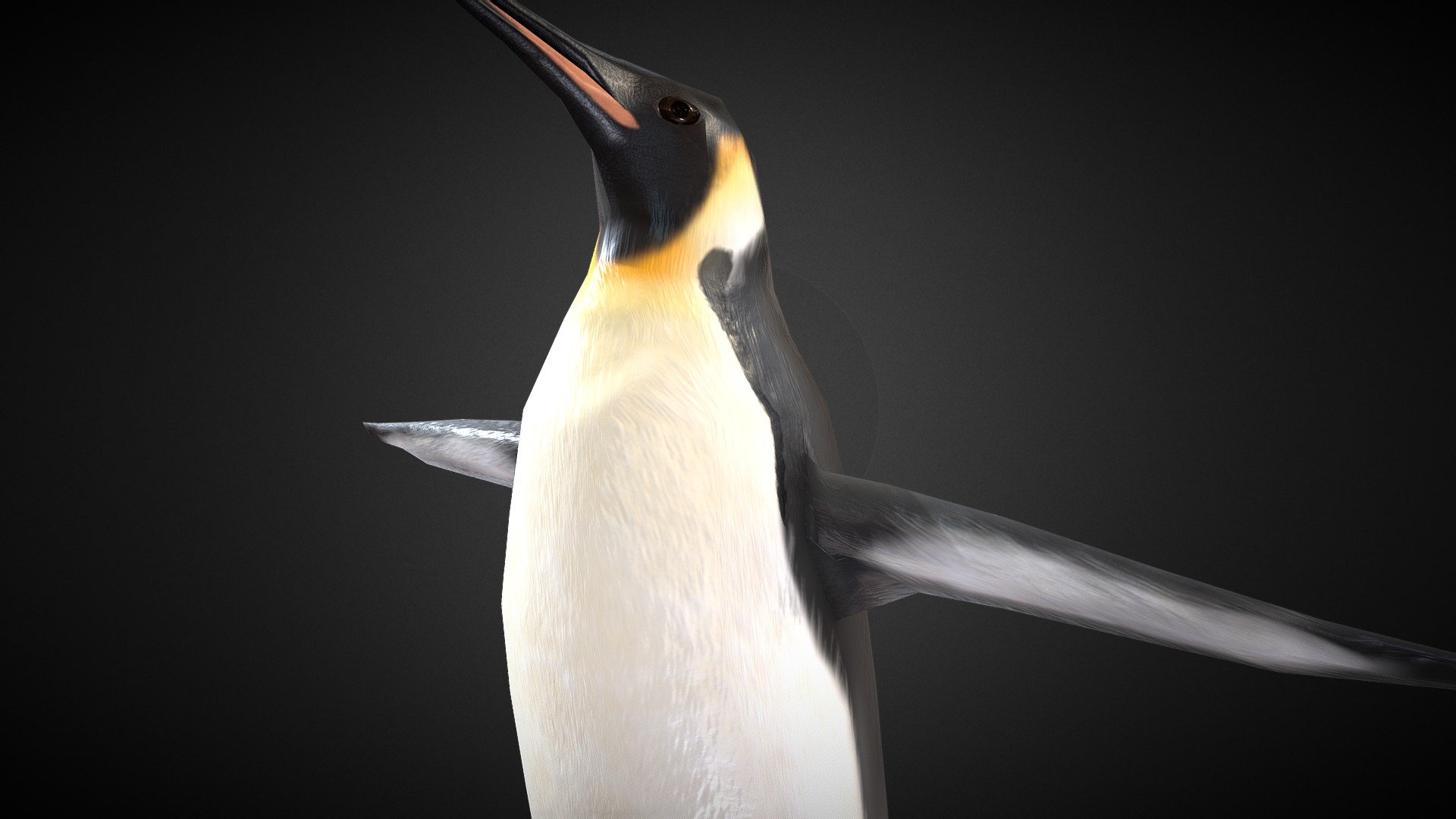 Emperor Penguin Rigged - Buy Royalty Free 3D model by Armored ...