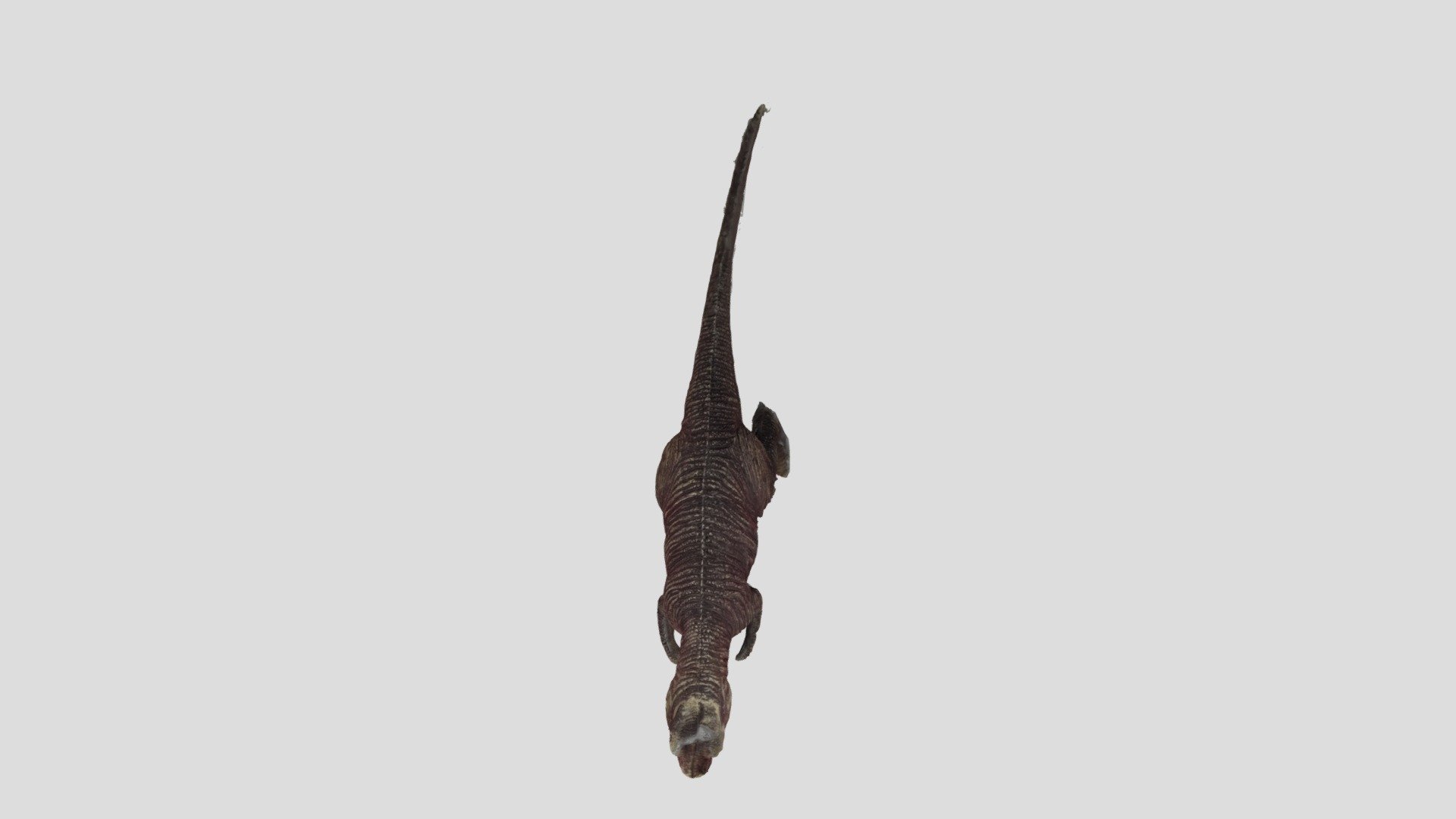 T-Rex escena 3D