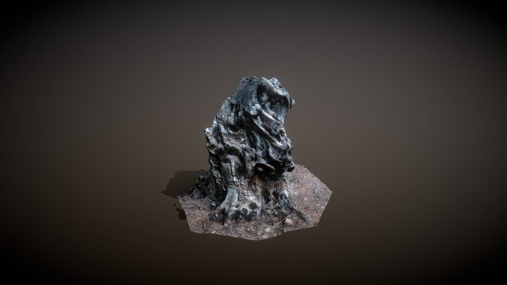 Olivestump01lp LOD0 3D Model