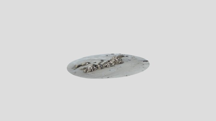 Rocher - St-Colomban 3D Model