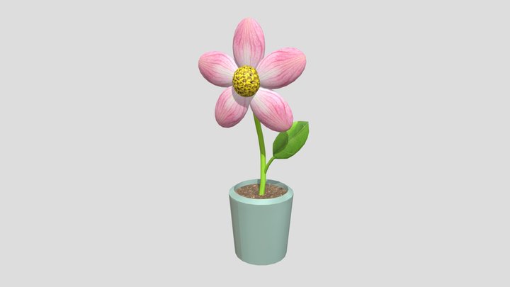 The Flower 3D Model