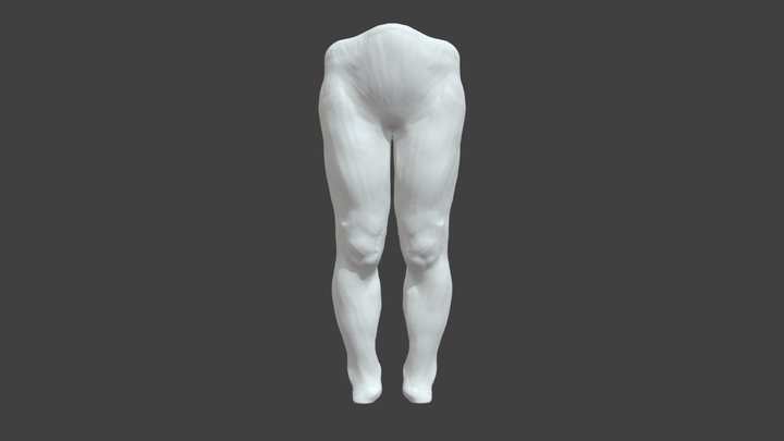 Legs 3D Model