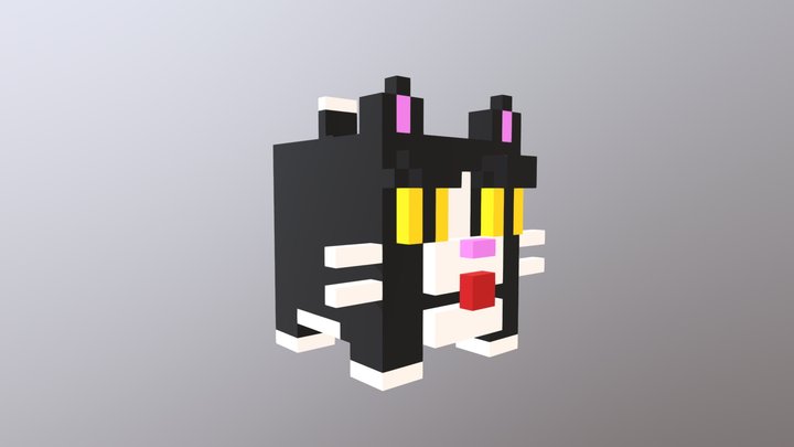 Gato negro con blanco 3D Model