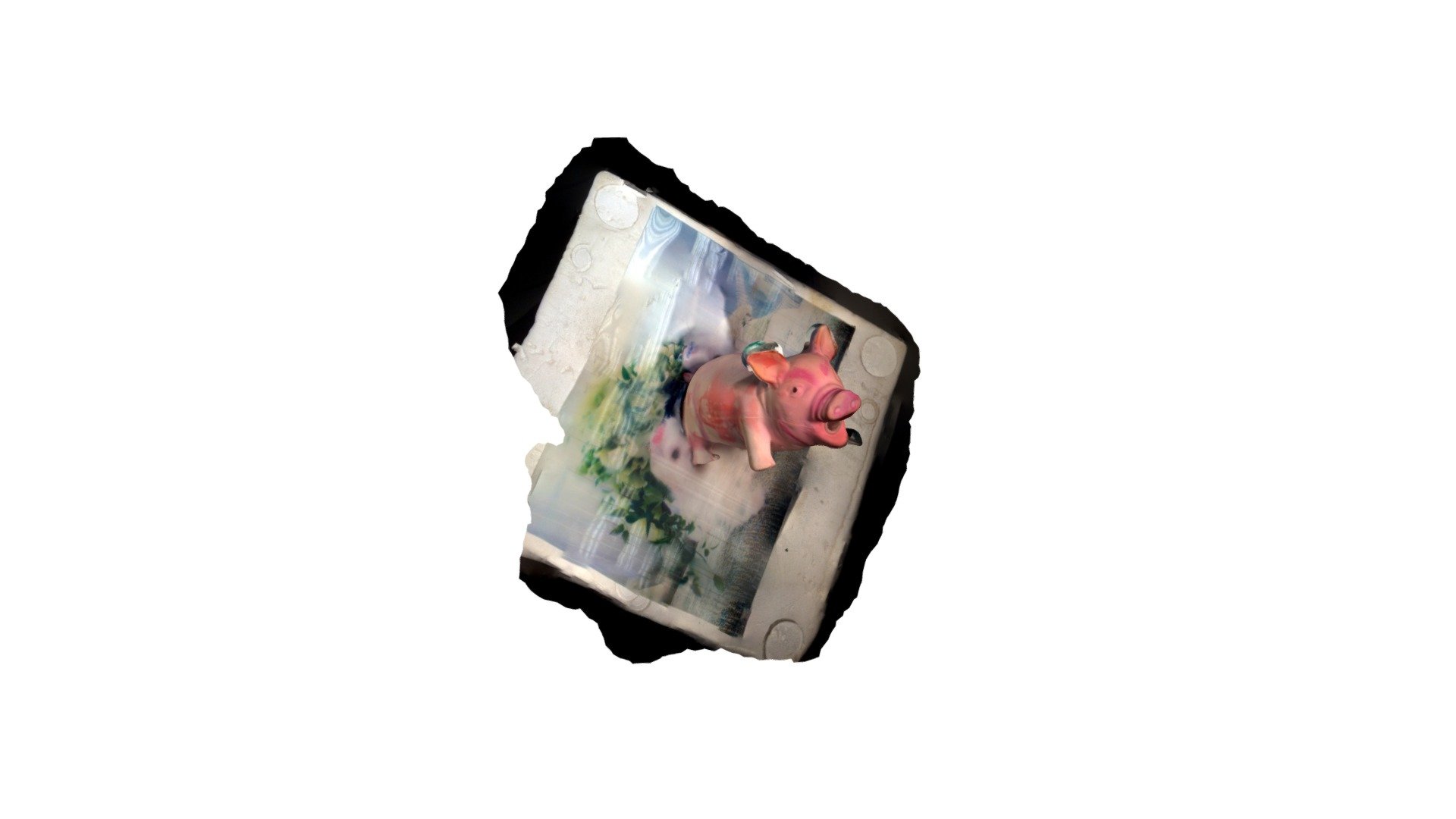 pig stench
