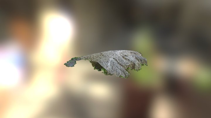 Rock Finished 3D Model