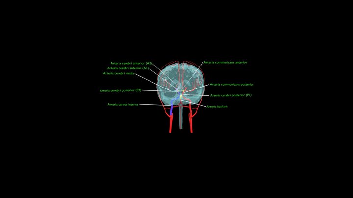 cevy_0055567_kamera 3D Model