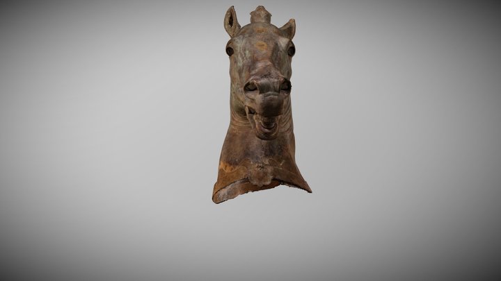 Medici Riccardi Horse Head 3D Model