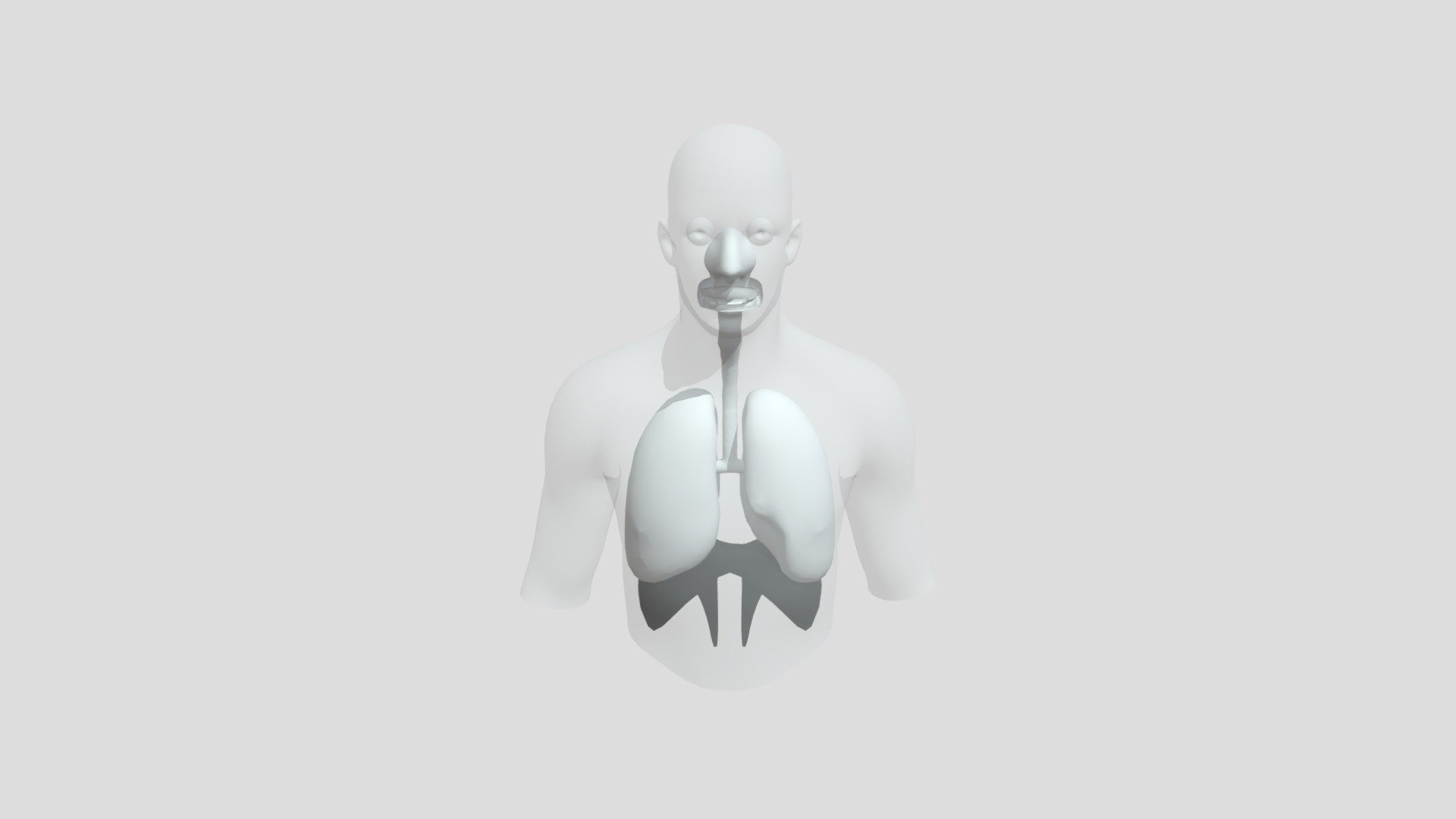 Respiració - Download Free 3D model by tinobarba3 [4ace87b] - Sketchfab