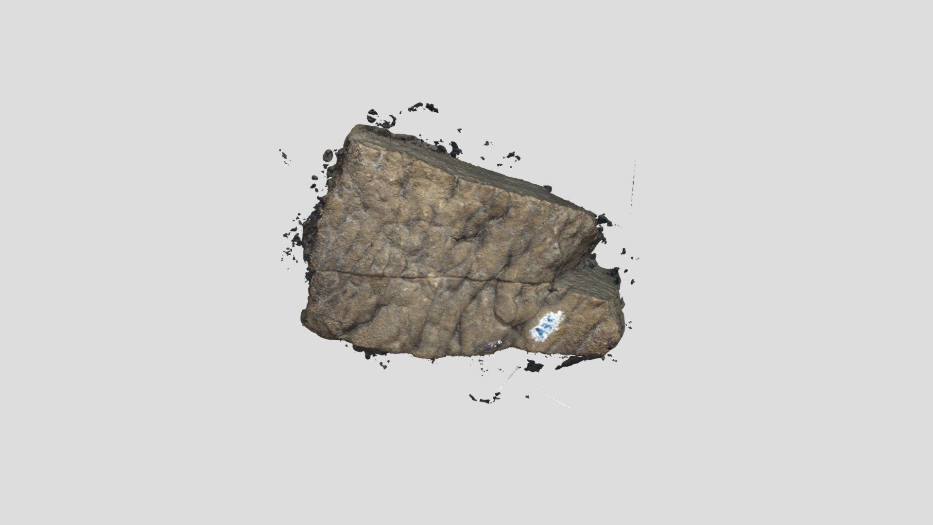 Soft Sediment