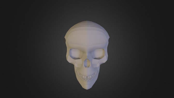 Skull  3D Model