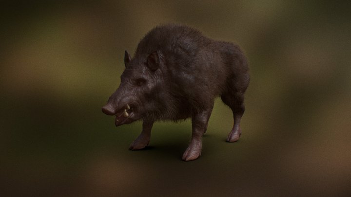 Boar 3D Model