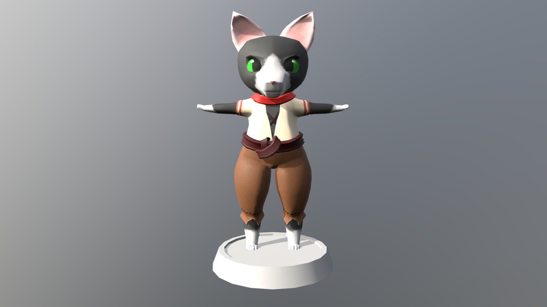 Villager Cat