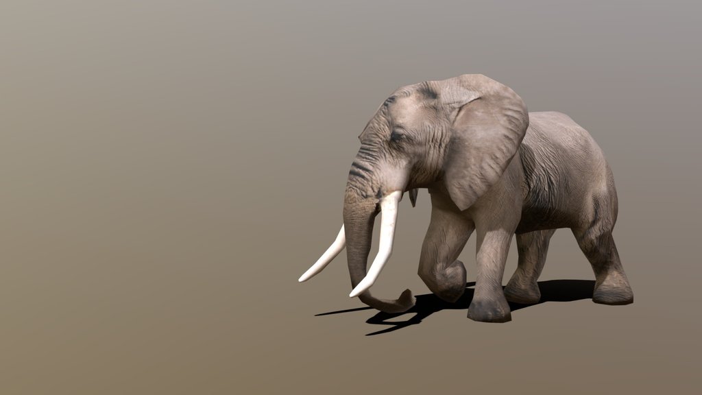 Elephant
