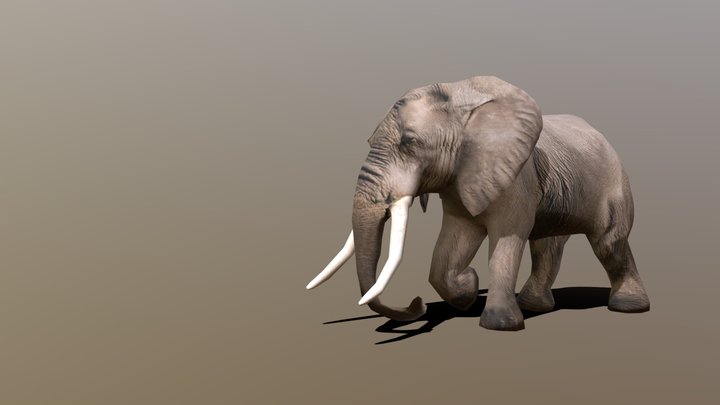 Elephant 3D Model