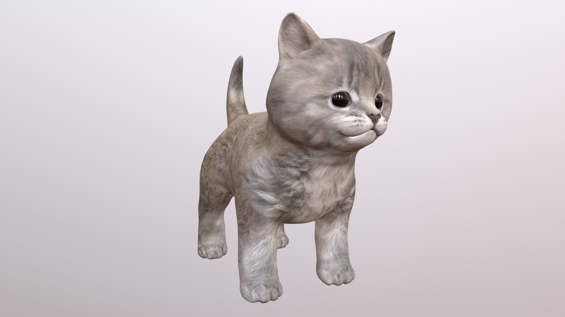 Kitten Download Free 3d Model By Fainods Doinspire [4ae3704