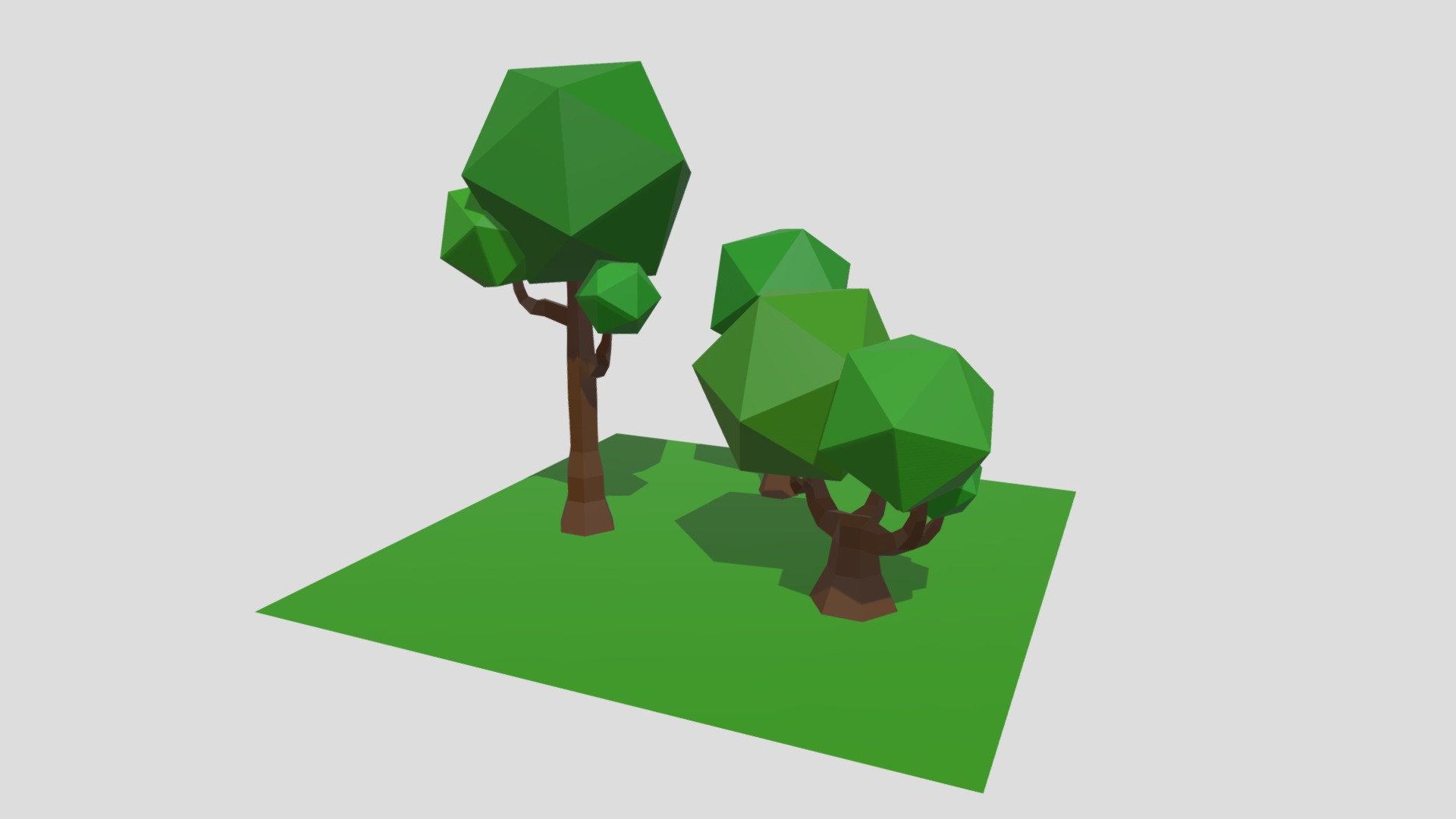 Plant Day 15 #3December2020