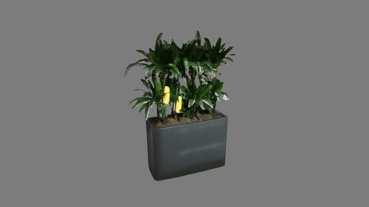 Plant 3D Model
