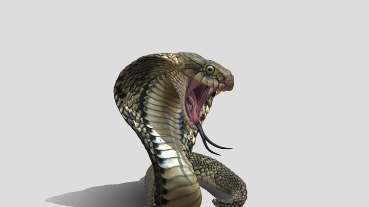 Aggressive Cobra Head 3d Model – Modèle 3D gratuit STL