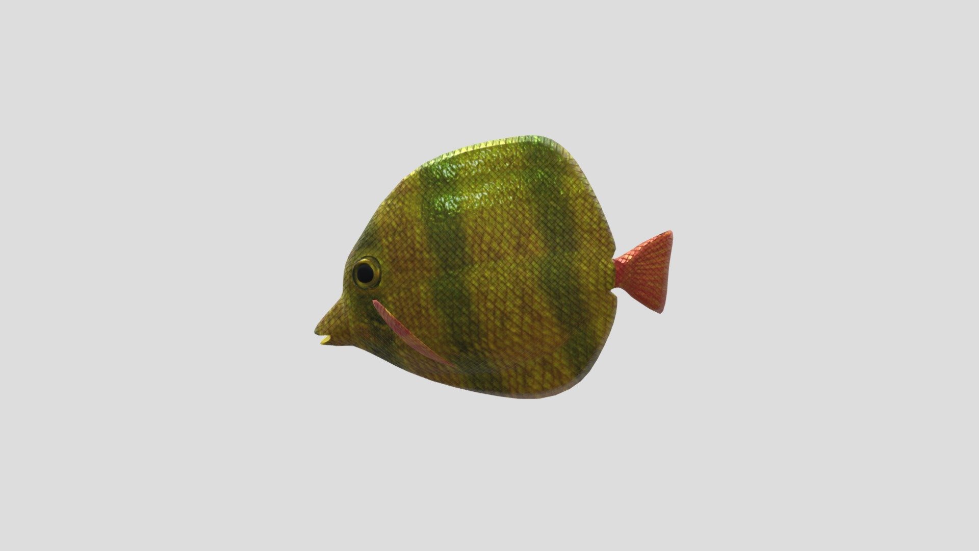 Tropical Fish