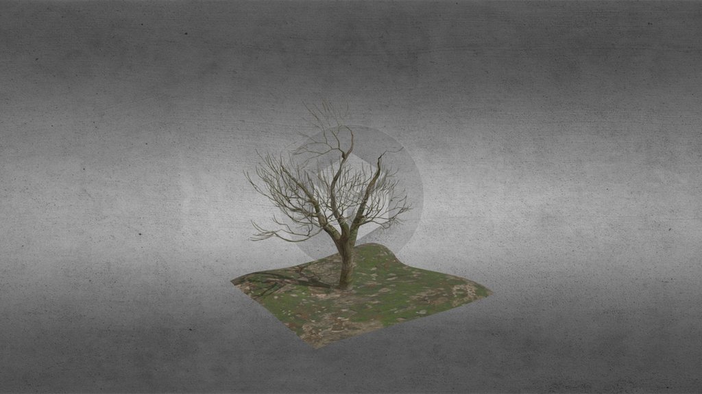 leafless tree_2