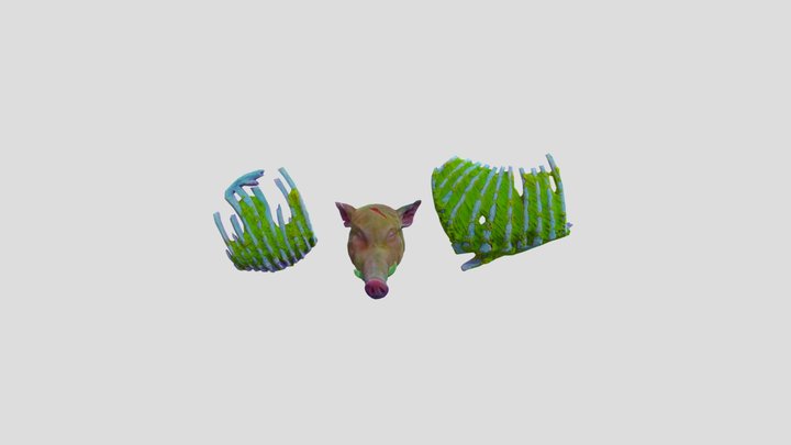 Boar Head – Free 3D Model STL