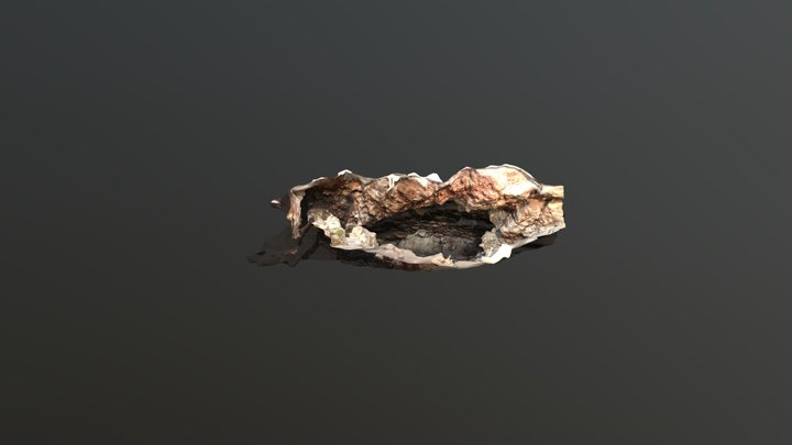 Cueva (C-077), Museo Fuego Nuevo, Iztapalapa. 3D Model