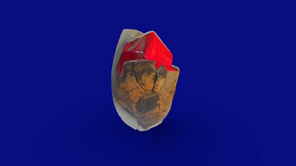 顔面突起（八千代市赤作遺跡）観察記録3Dモデル