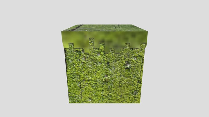 Grass 3D Model