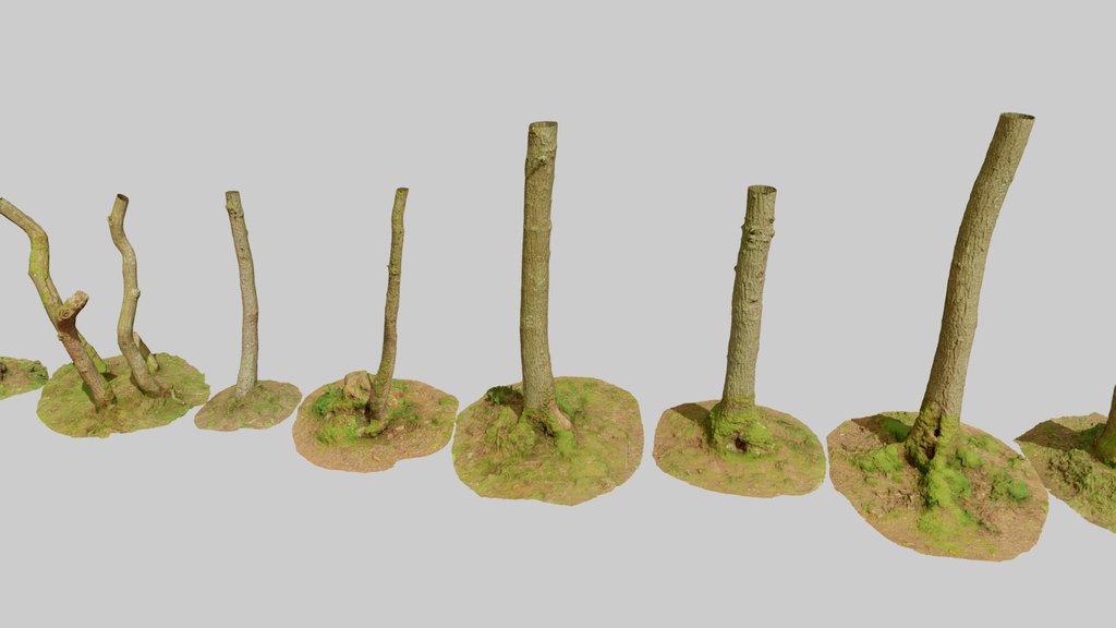 Oak Tree Scanned - A 3D model collection by Per's Scan Collection ...