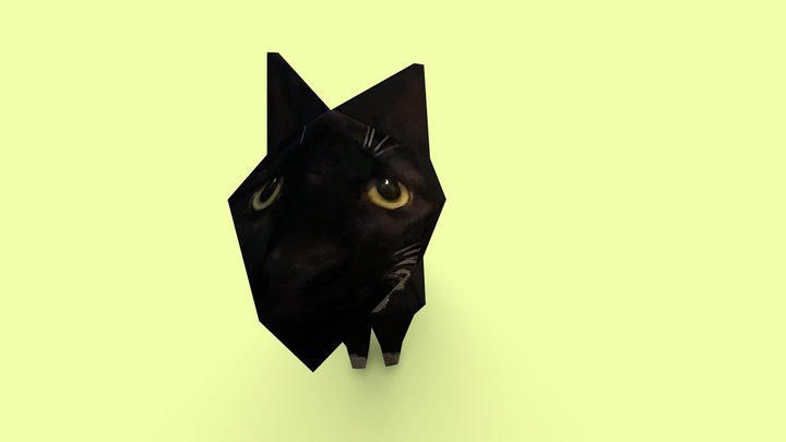 My Stupid Idiot Cat 3D Model