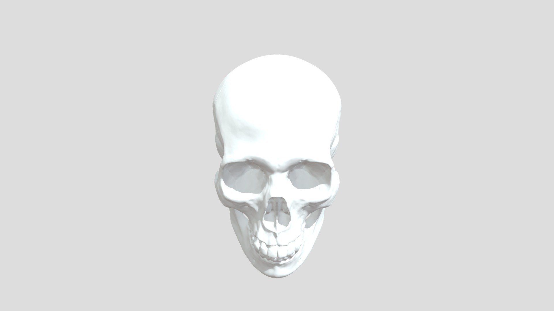 Human Skull - Download Free 3D model by theneven [4af5d6d] - Sketchfab