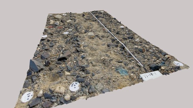 Victoria Valley Surface - Low Resolution 3D Model