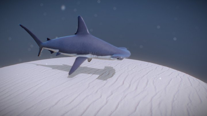 Great Hammerhead Shark 3D Model