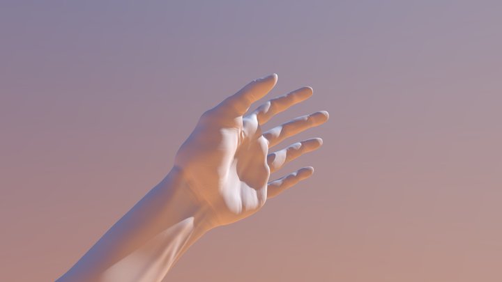Hand Model 3D Model