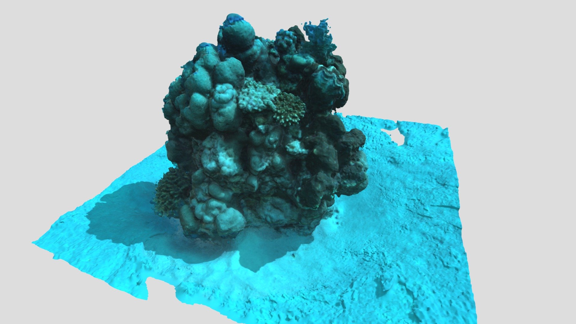 Patate au bénitier - Site de Cocaïne — Sketchfab embed 3D viewer