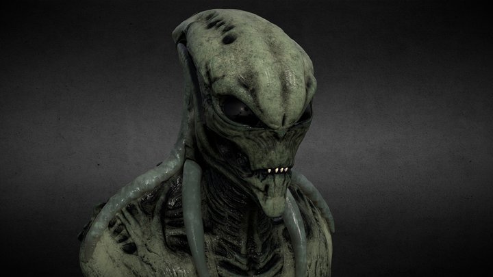 Alien 3D Model